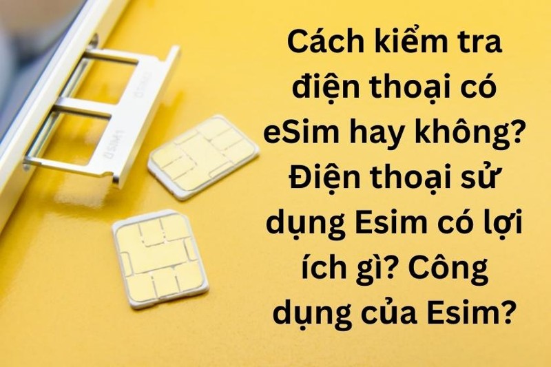 Có thể kiểm tra số điện thoại eSIM bằng cách nào trên iPhone?
