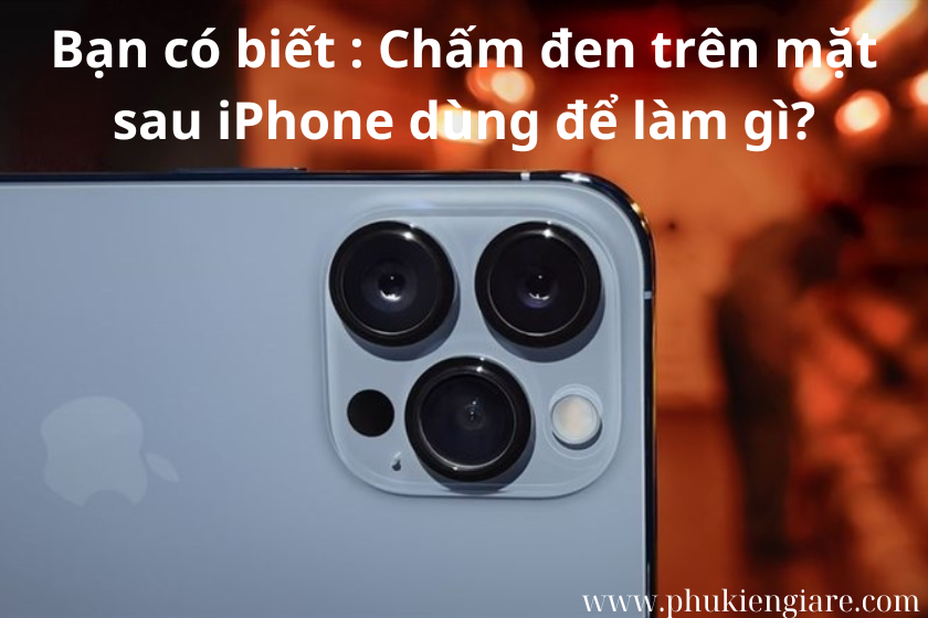 Cách khắc phục lỗi camera iPhone bị đen đơn giản không thể bỏ qua -  Thegioididong.com